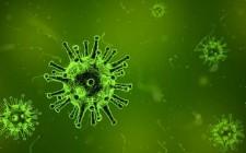 Update: Voorzorgsmaatregelen om besmetting met coronavirus te voorkomen.